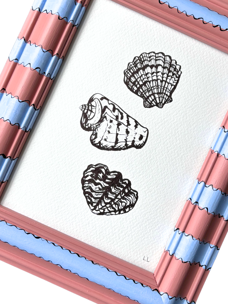 SEASHELL COLLECTION ORIGINAL INK ARTWORK IN HAND PAINTED FRAME