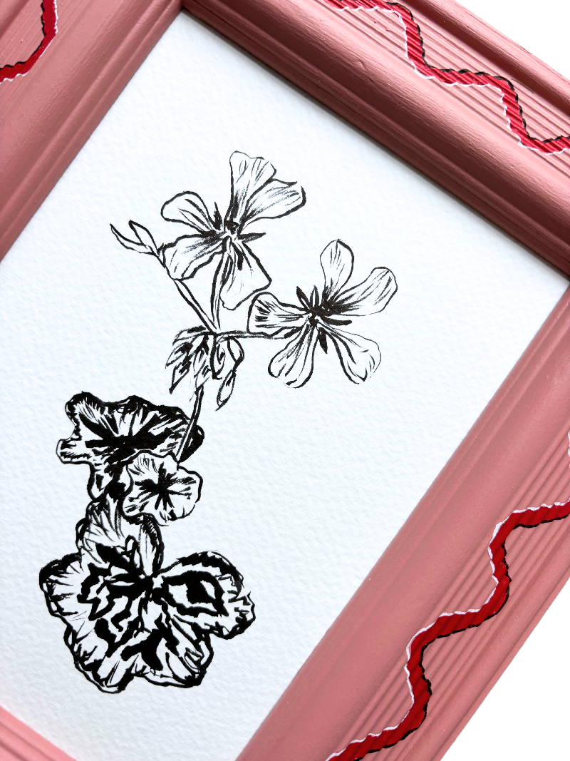 PELARGONIUM ORIGINAL INK ARTWORK IN A HAND PAINTED PINK AND RED FRAME