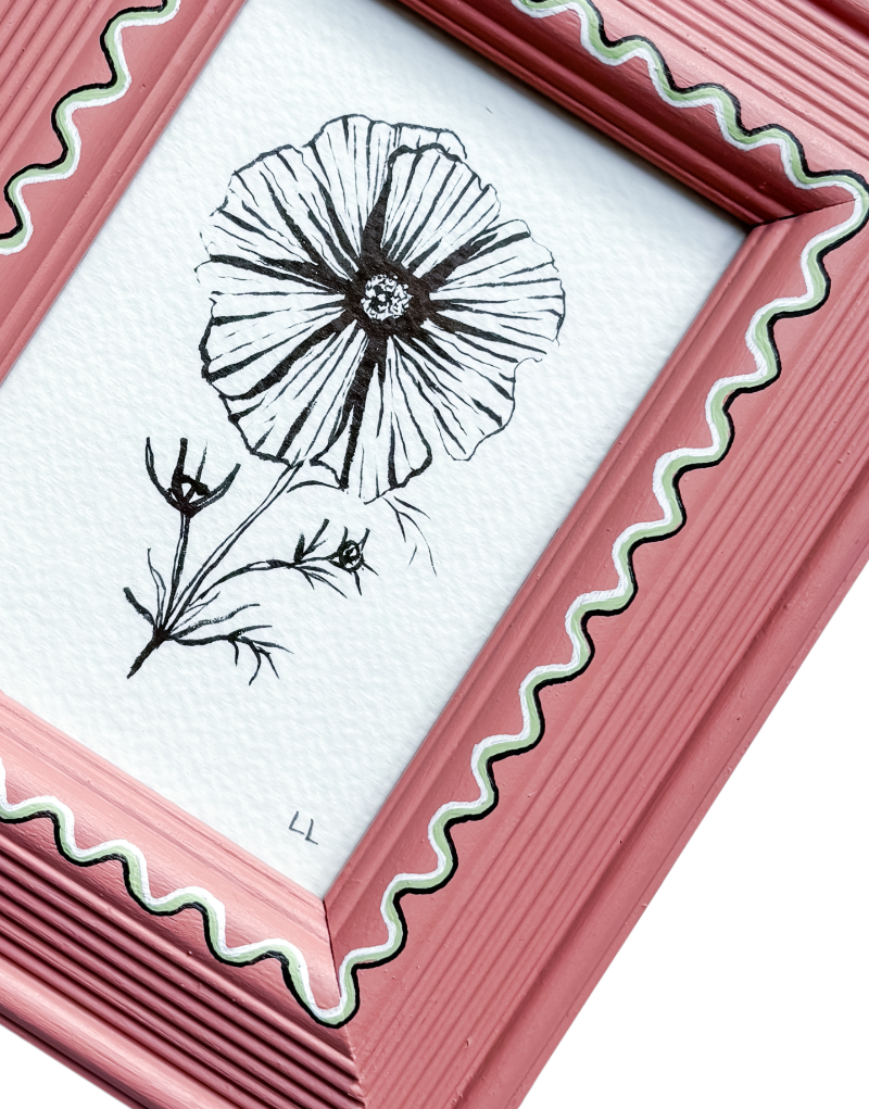 COSMOS ORIGINAL INK ARTWORK IN A HAND PAINTED PINK WITH GREEN WIGGLE FRAME