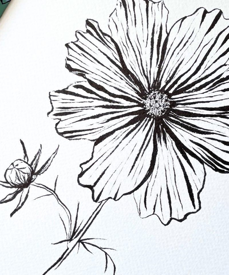 COSMOS ORIGINAL INK DRAWING IN HAND PAINTED FRAME