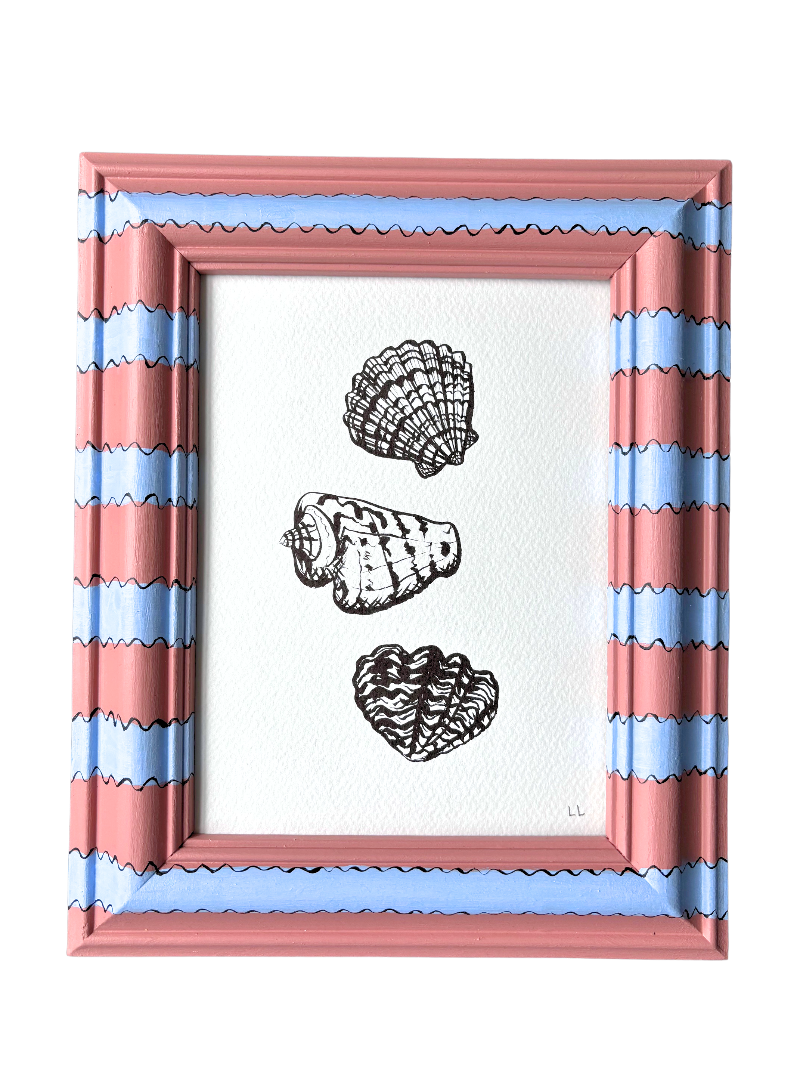 SEASHELL COLLECTION ORIGINAL INK ARTWORK IN HAND PAINTED FRAME