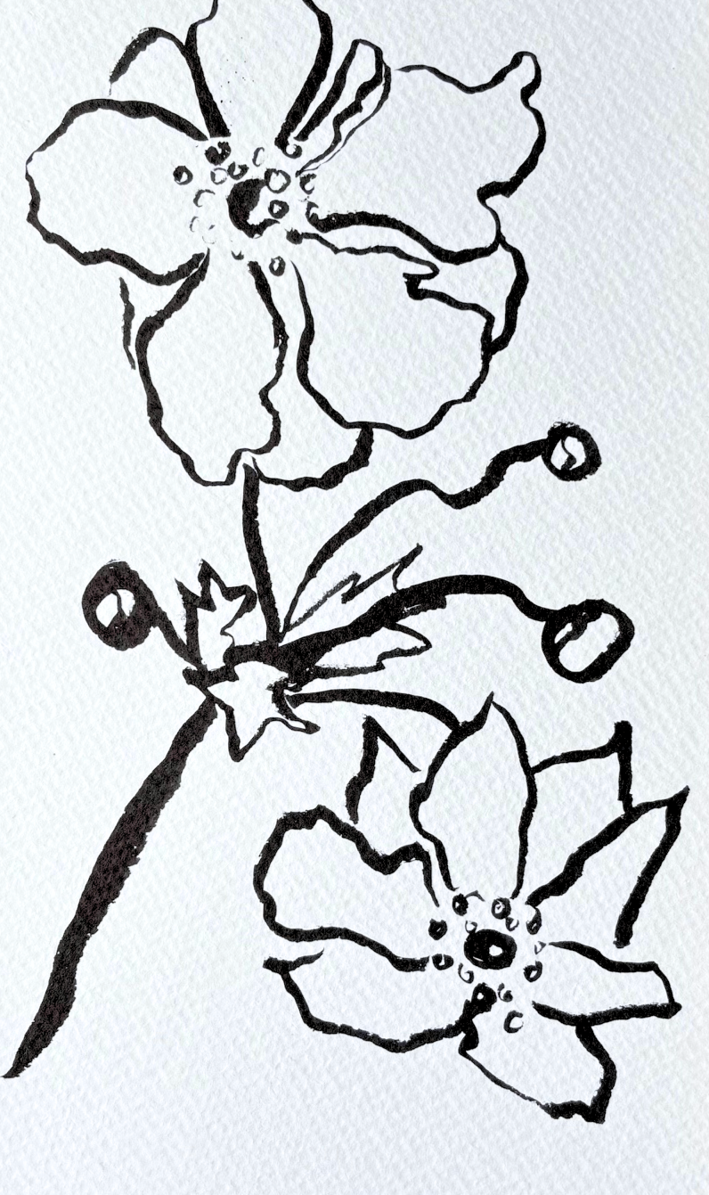 JAPANESE ANEMONE ORIGINAL INK DRAWING IN HAND PAINTED FRAME