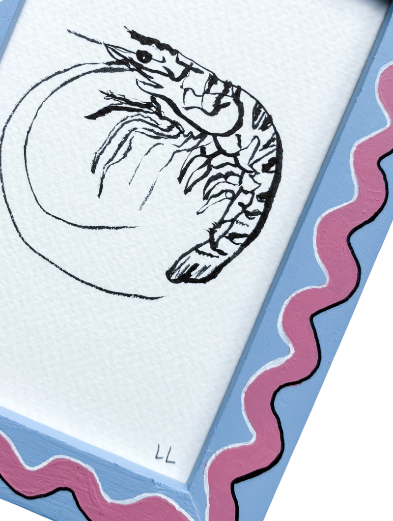 PRAWN ORIGINAL INK ARTWORK IN A HAND PAINTED BLUE AND PINK FRAME