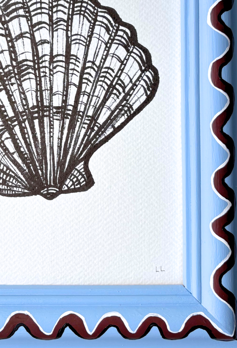 SCALLOP ORIGINAL INK DRAWING IN HAND PAINTED FRAME