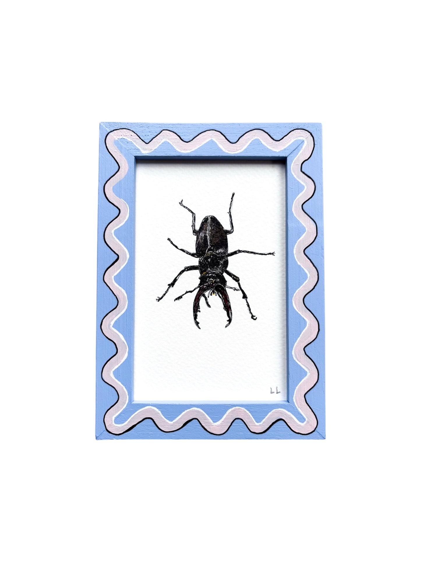 INSECT ORIGINAL INK ARTWORK IN A HAND PAINTED BLUE AND LIGHT PINK PRELOVED FRAME