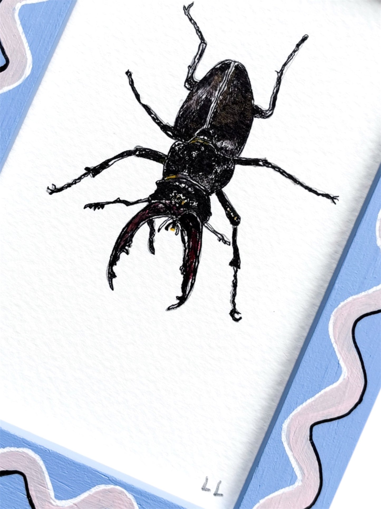 INSECT ORIGINAL INK ARTWORK IN A HAND PAINTED BLUE AND LIGHT PINK PRELOVED FRAME